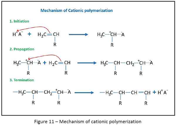 Mechanism of cationic polymerization